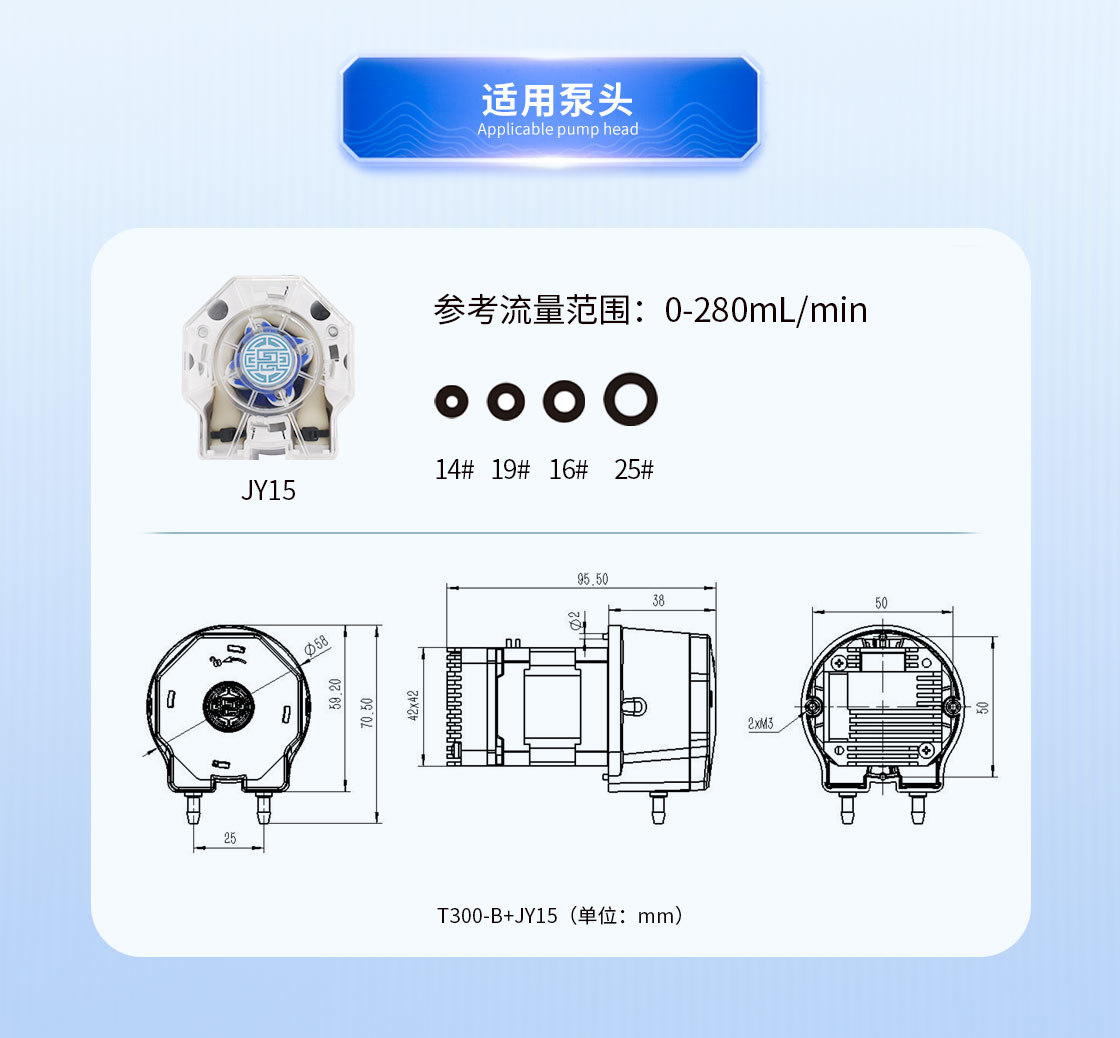 T300-B+JY15泵頭